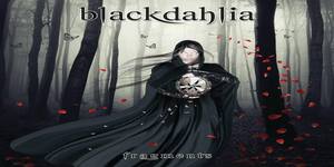 blackdahlia_cover